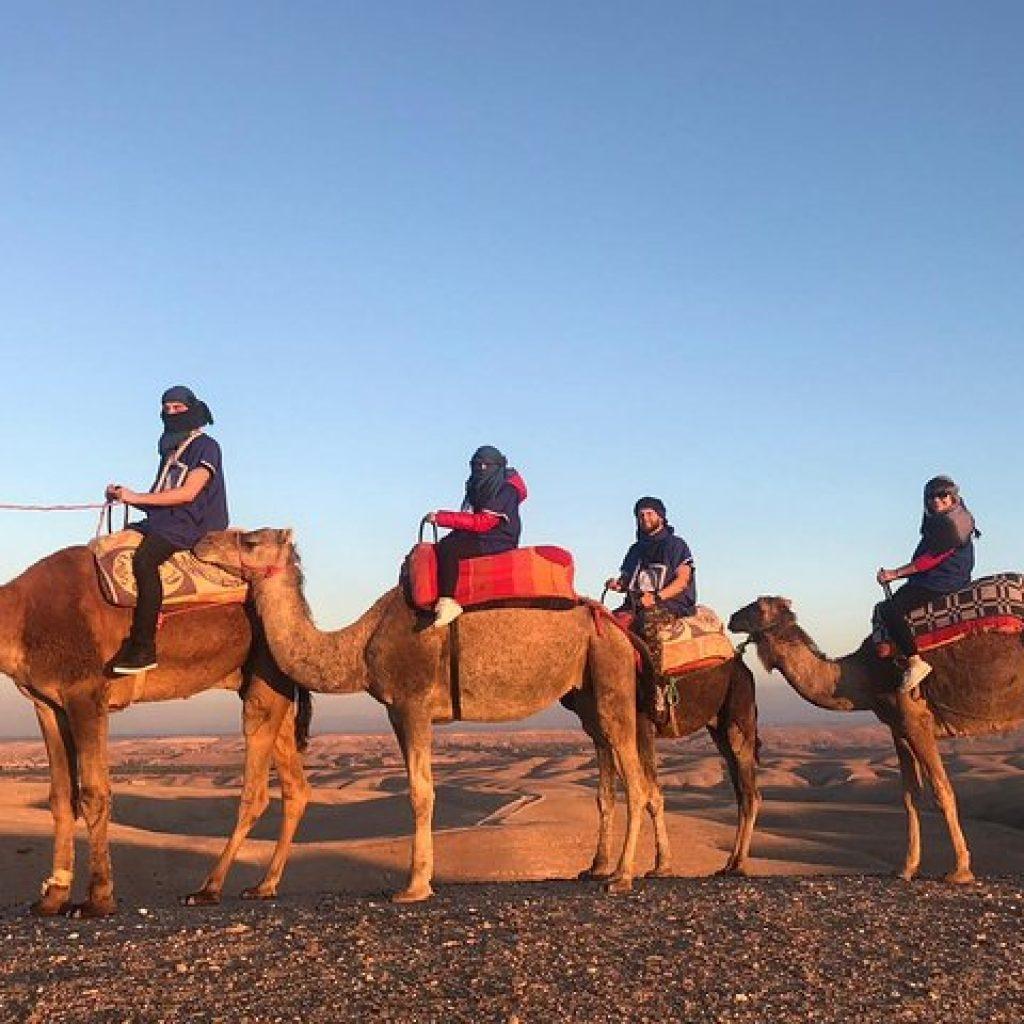 Sunset Camel Ride Agafay