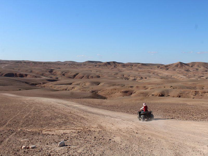 Journée quad au désert d'Agafay
