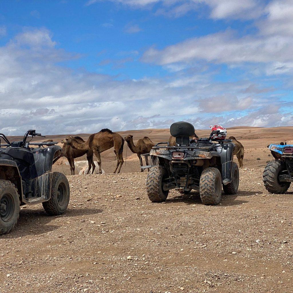 Luxury Quad Adventure Full Experience – Quad in Agafay, Marrakech (photo 2)