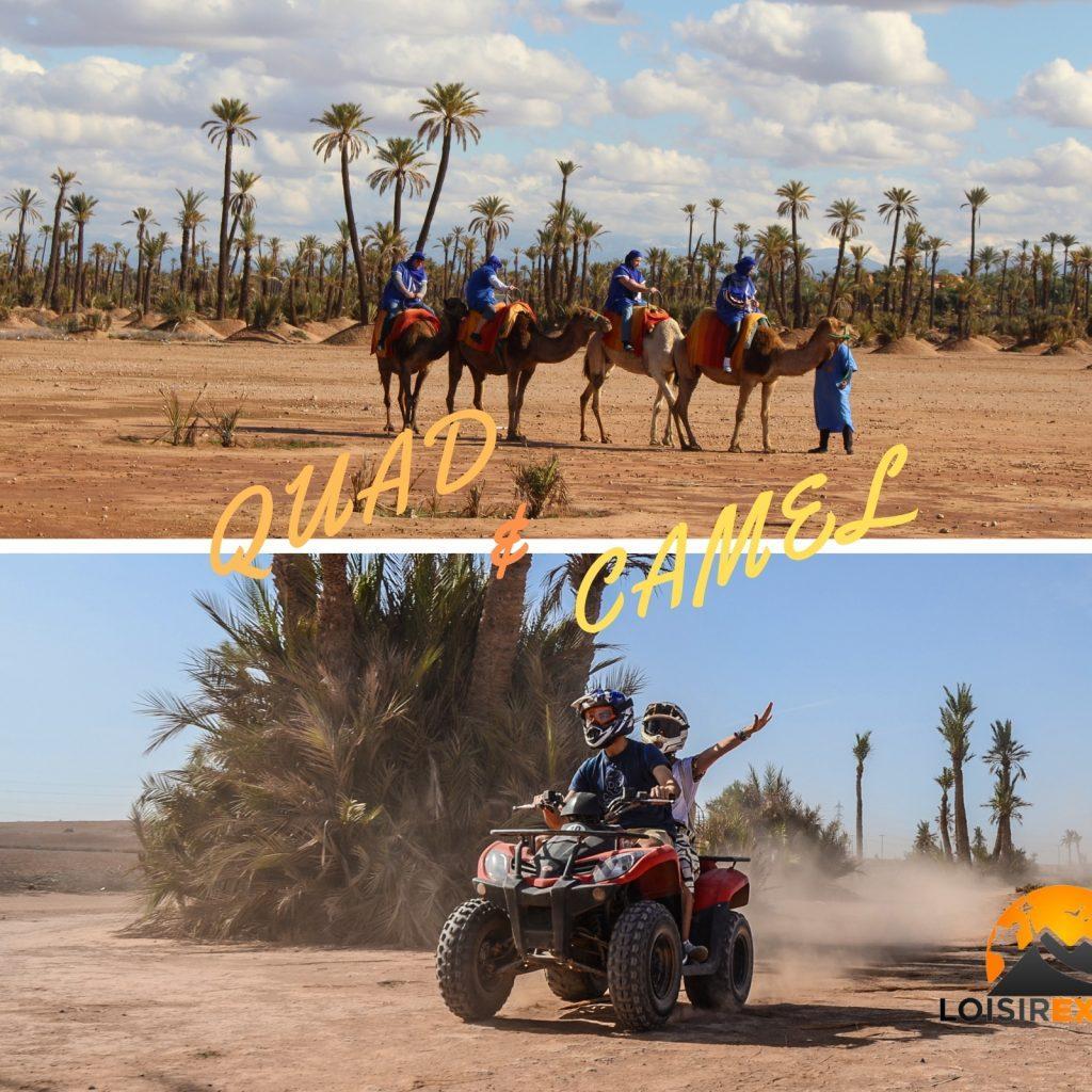 Private Camel Experience Agafay