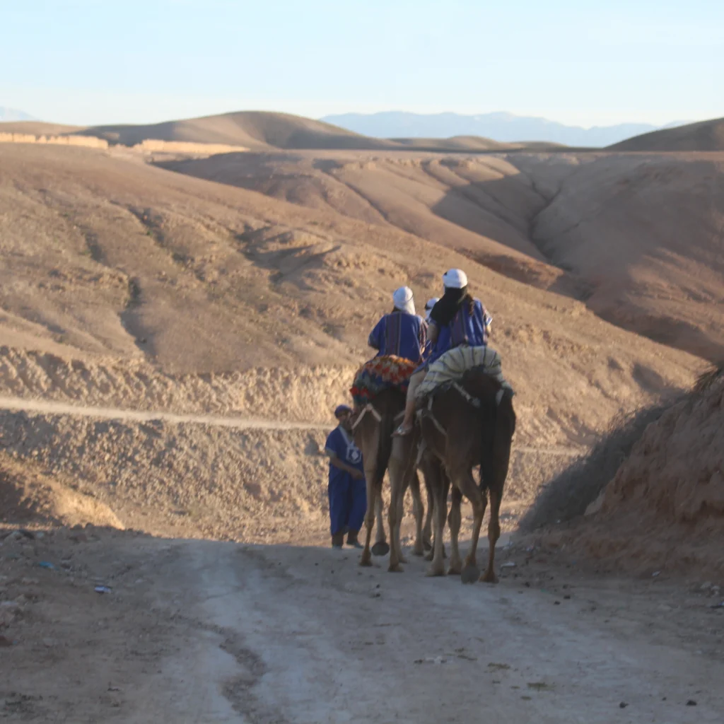 Sunset Camel Ride Agafay – Camel in Agafay, Marrakech (photo 4)