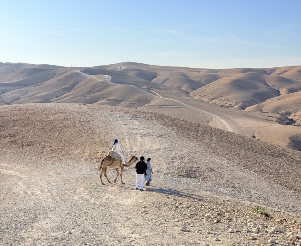 Agafay Desert camel ride