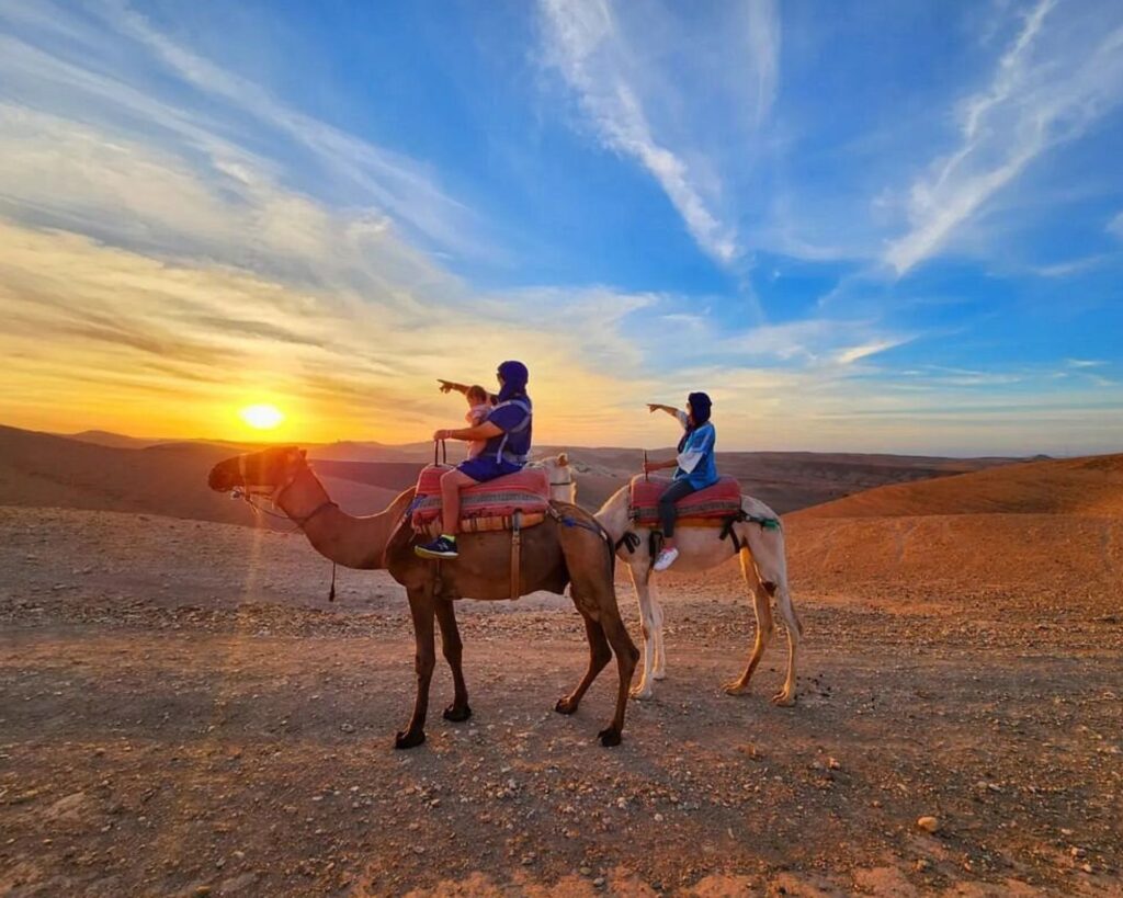 Agafay Desert Sunset Camel Ride & Dinner Show – Camel in Agafay, Marrakech (photo 3)