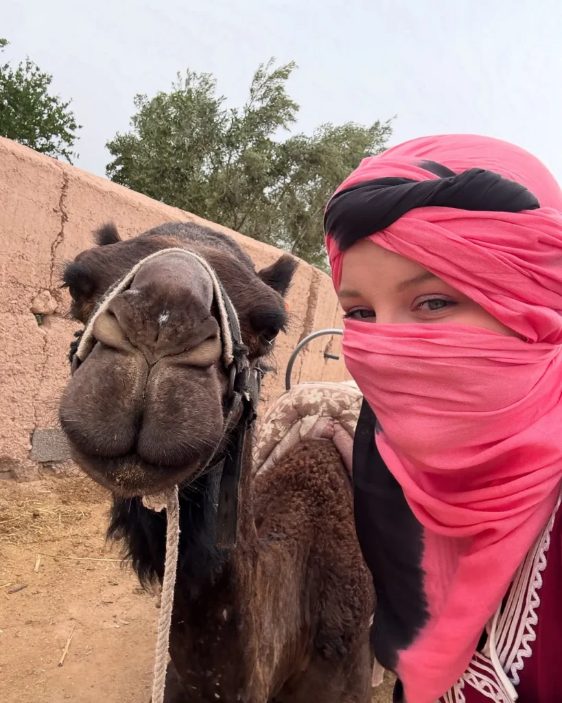Agafay Desert Sunset Camel Ride & Dinner Show – Camel in Agafay, Marrakech (photo 2)
