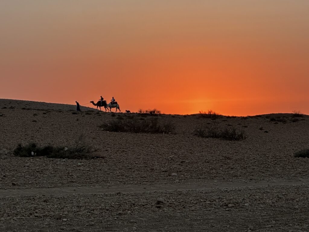 Agafay Desert camel ride – Camel in Agafay, Marrakech (photo 2)