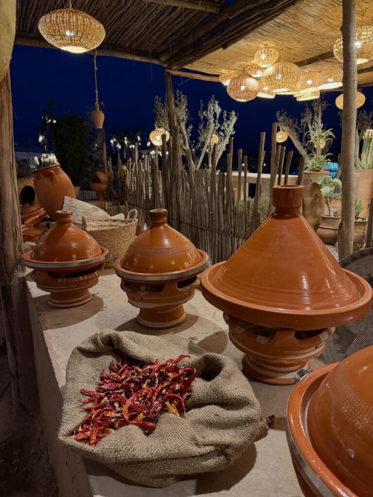 Agafay Desert Sunset Camel Ride & Dinner Show – Camel in Agafay, Marrakech (photo 6)