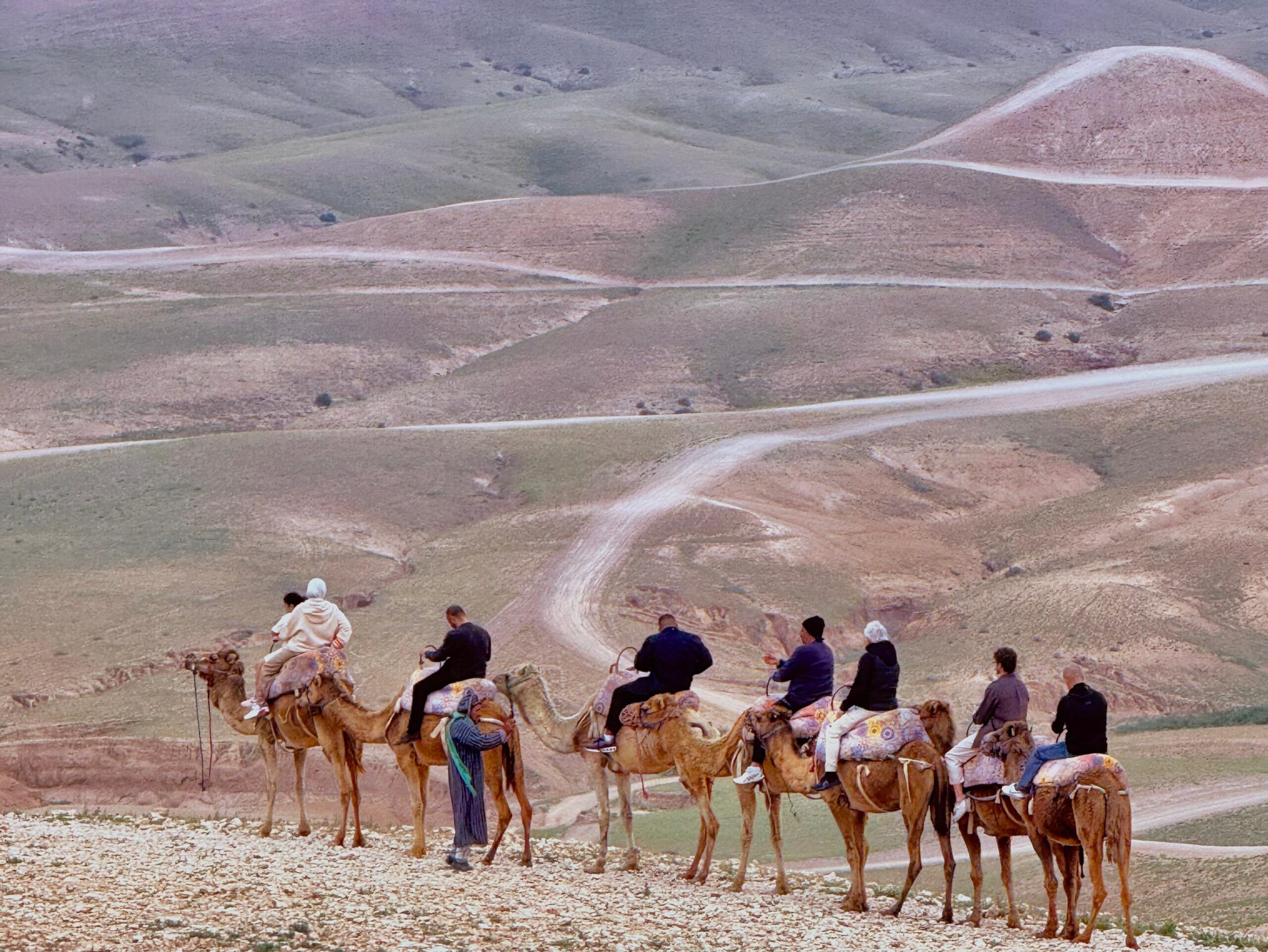 Group riding camels across the rocky hills of Agafay near Marrakech